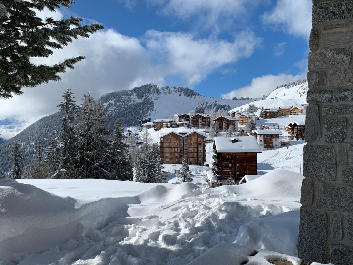Schoenegg Hochparterre Riederalp Kültér fotó