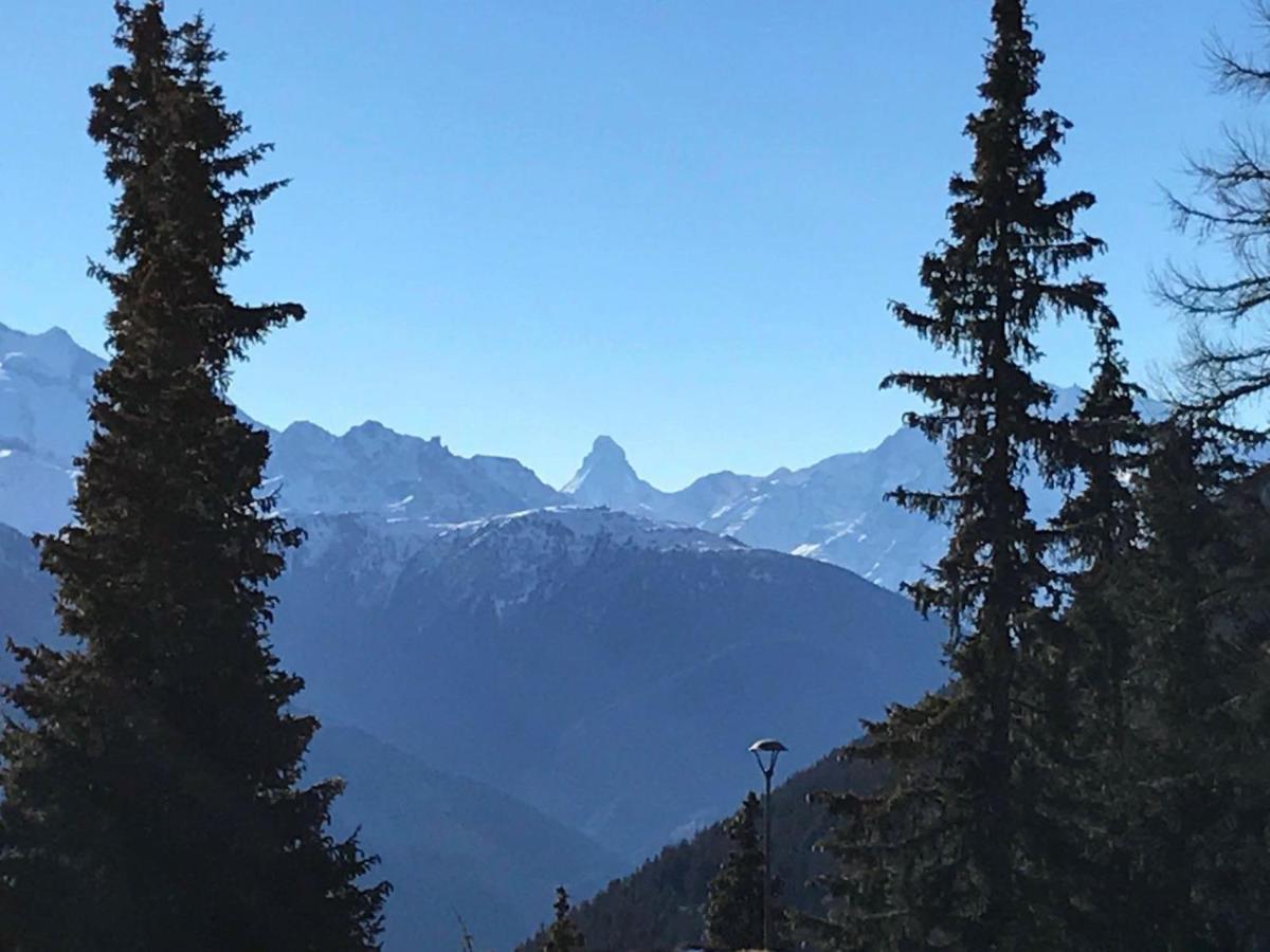 Schoenegg Hochparterre Riederalp Kültér fotó