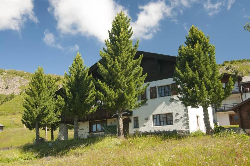 Schoenegg Hochparterre Riederalp Kültér fotó