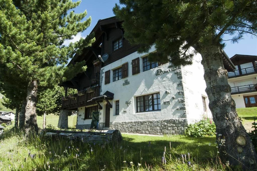 Schoenegg Hochparterre Riederalp Kültér fotó